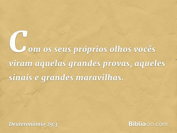 Com os seus próprios olhos vocês viram aquelas grandes provas, aqueles sinais e grandes maravilhas. -- Deuteronômio 29:3