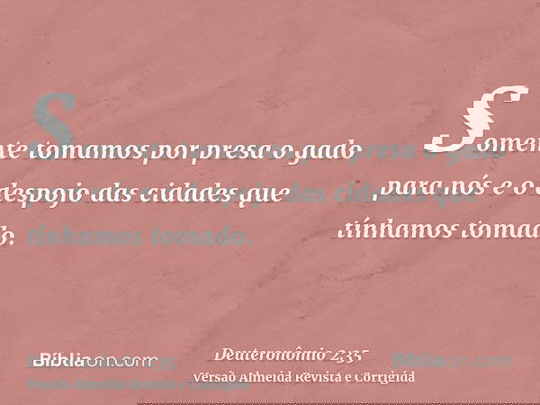 Somente tomamos por presa o gado para nós e o despojo das cidades que tínhamos tomado.