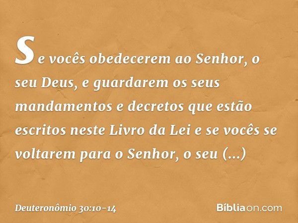 se vocês obedecerem ao Senhor, o seu Deus, e guardarem os seus mandamentos e decretos que estão escritos neste Livro da Lei e se vocês se voltarem para o Senhor