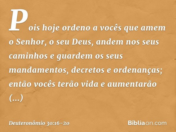 Pois hoje ordeno a vocês que amem o Senhor, o seu Deus, andem nos seus caminhos e guardem os seus mandamentos, decretos e ordenanças; então vocês terão vida e a