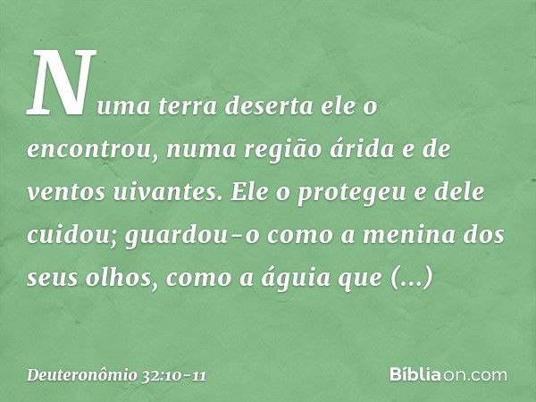 "Numa terra deserta ele o encontrou,
numa região árida e de ventos uivantes.
Ele o protegeu e dele cuidou;
guardou-o como
a menina dos seus olhos, como a águia
