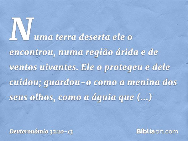 "Numa terra deserta ele o encontrou,
numa região árida e de ventos uivantes.
Ele o protegeu e dele cuidou;
guardou-o como
a menina dos seus olhos, como a águia
