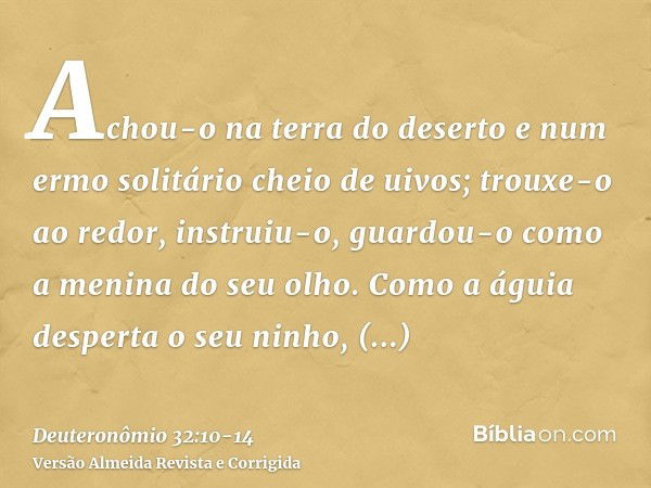 Achou-o na terra do deserto e num ermo solitário cheio de uivos; trouxe-o ao redor, instruiu-o, guardou-o como a menina do seu olho.Como a águia desperta o seu 