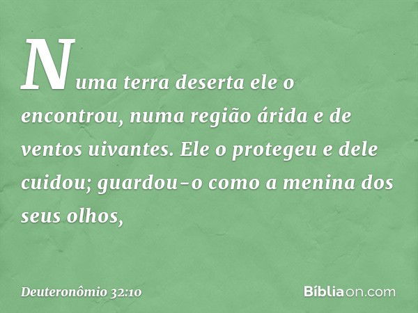 "Numa terra deserta ele o encontrou,
numa região árida e de ventos uivantes.
Ele o protegeu e dele cuidou;
guardou-o como
a menina dos seus olhos, -- Deuteronôm