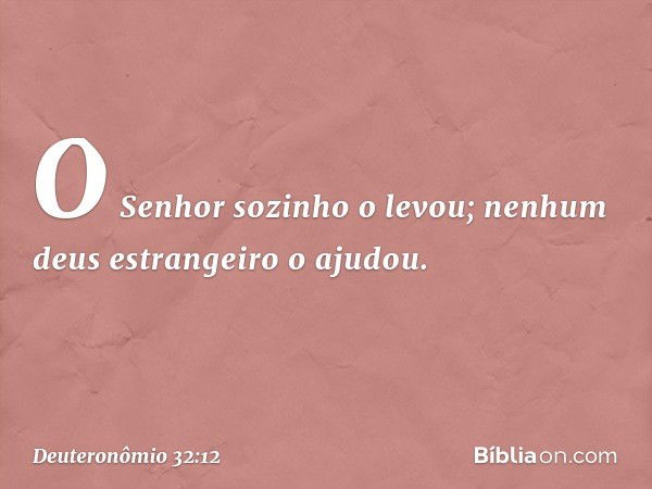 O Senhor sozinho o levou;
nenhum deus estrangeiro o ajudou. -- Deuteronômio 32:12