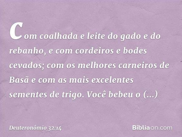 com coalhada e leite
do gado e do rebanho,
e com cordeiros e bodes cevados;
com os melhores carneiros de Basã
e com as mais excelentes
sementes de trigo.
Você b