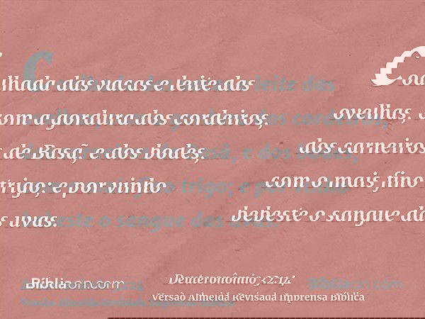 coalhada das vacas e leite das ovelhas, com a gordura dos cordeiros, dos carneiros de Basã, e dos bodes, com o mais fino trigo; e por vinho bebeste o sangue das
