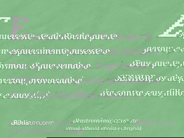 Esqueceste-te da Rocha que te gerou; e em esquecimento puseste o Deus que te formou.O que vendo o SENHOR, os desprezou, provocado à ira contra seus filhos e sua
