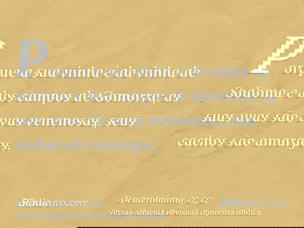 Porque a sua vinha é da vinha de Sodoma e dos campos de Gomorra; as suas uvas são uvas venenosas, seus cachos são amargos.
