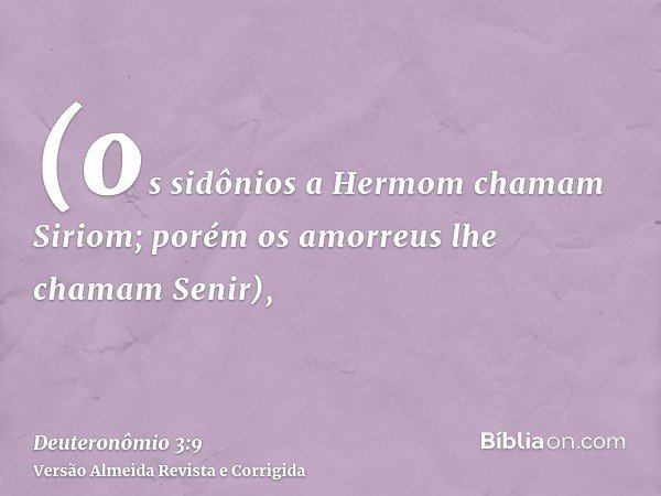 (os sidônios a Hermom chamam Siriom; porém os amorreus lhe chamam Senir),