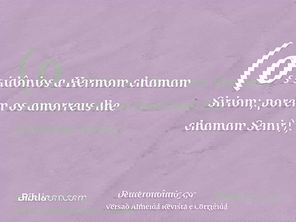 (os sidônios a Hermom chamam Siriom; porém os amorreus lhe chamam Senir),
