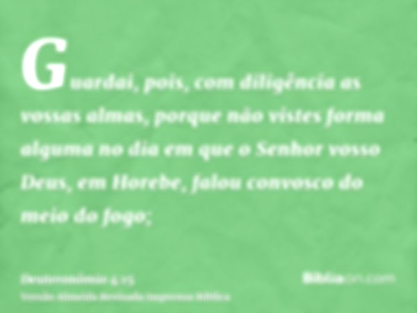 Guardai, pois, com diligência as vossas almas, porque não vistes forma alguma no dia em que o Senhor vosso Deus, em Horebe, falou convosco do meio do fogo;