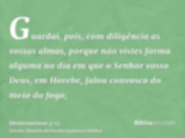 Guardai, pois, com diligência as vossas almas, porque não vistes forma alguma no dia em que o Senhor vosso Deus, em Horebe, falou convosco do meio do fogo;