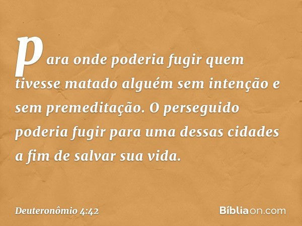 para onde poderia fugir quem tivesse matado alguém sem intenção e sem premeditação. O perseguido poderia fugir para uma dessas cidades a fim de salvar sua vida.