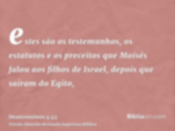 estes são os testemunhos, os estatutos e os preceitos que Moisés falou aos filhos de Israel, depois que saíram do Egito,