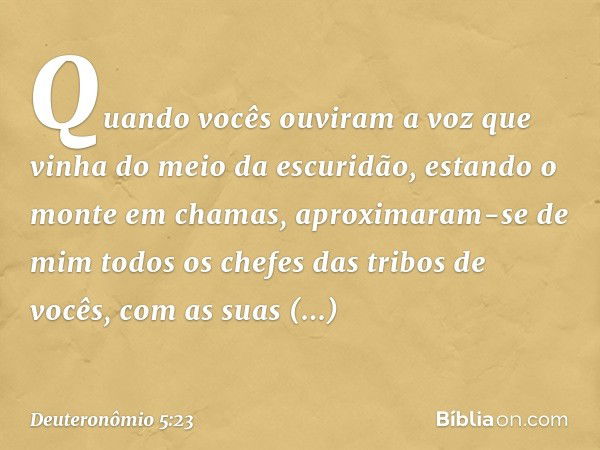 "Quando vocês ouviram a voz que vinha do meio da escuridão, estando o monte em chamas, aproximaram-se de mim todos os chefes das tribos de vocês, com as suas au