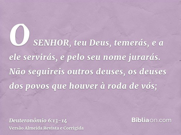 O SENHOR, teu Deus, temerás, e a ele servirás, e pelo seu nome jurarás.Não seguireis outros deuses, os deuses dos povos que houver à roda de vós;