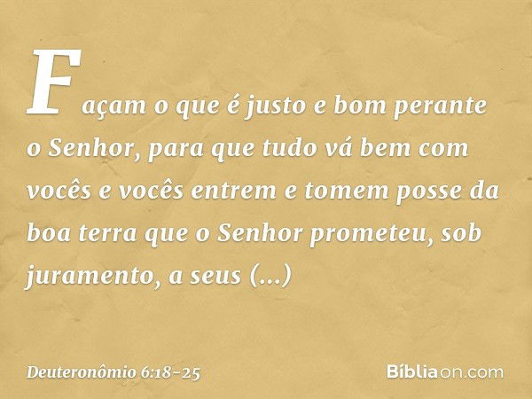 Façam o que é justo e bom perante o Senhor, para que tudo vá bem com vocês e vocês entrem e tomem posse da boa terra que o Senhor prometeu, sob juramento, a seu