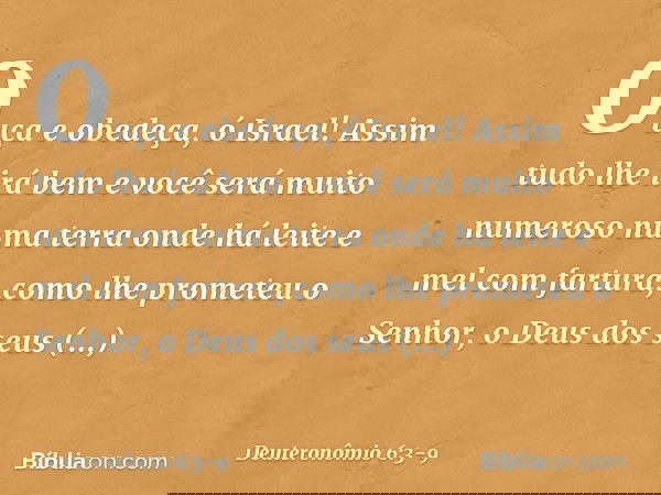 Ouça e obedeça, ó Israel! Assim tudo lhe irá bem e você será muito numeroso numa terra onde há leite e mel com fartura, como lhe prometeu o Senhor, o Deus dos s