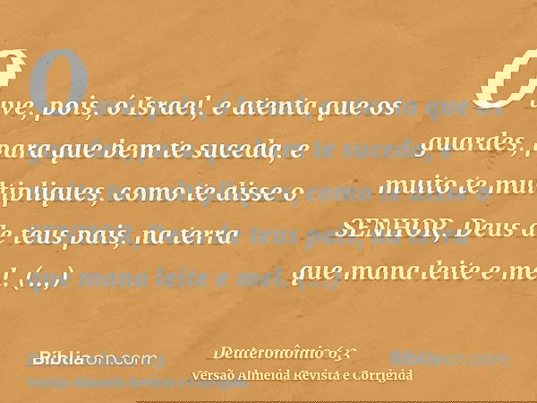 Ouve, pois, ó Israel, e atenta que os guardes, para que bem te suceda, e muito te multipliques, como te disse o SENHOR, Deus de teus pais, na terra que mana lei
