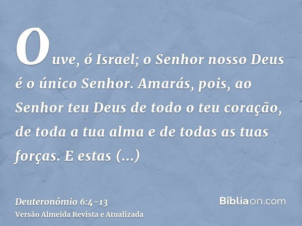 Ouve, ó Israel; o Senhor nosso Deus é o único Senhor.Amarás, pois, ao Senhor teu Deus de todo o teu coração, de toda a tua alma e de todas as tuas forças.E esta