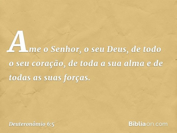 Ame o Senhor, o seu Deus, de todo o seu coração, de toda a sua alma e de todas as suas forças. -- Deuteronômio 6:5