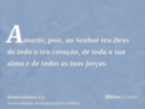 Amarás, pois, ao Senhor teu Deus de todo o teu coração, de toda a tua alma e de todas as tuas forças.