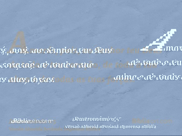 Amarás, pois, ao Senhor teu Deus de todo o teu coração, de toda a tua alma e de todas as tuas forças.