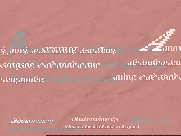 Amarás, pois, o SENHOR, teu Deus, de todo o teu coração, e de toda a tua alma, e de todo o teu poder.