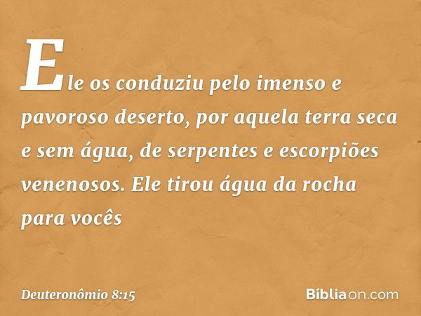 Ele os conduziu pelo imenso e pavoroso deserto, por aquela terra seca e sem água, de serpentes e escorpiões venenosos. Ele tirou água da rocha para vocês -- Deu