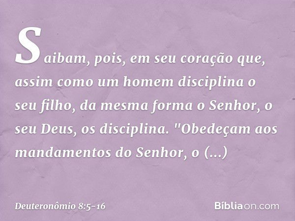 Saibam, pois, em seu coração que, assim como um homem disciplina o seu filho, da mesma forma o Senhor, o seu Deus, os disciplina. "Obedeçam aos mandamentos do S