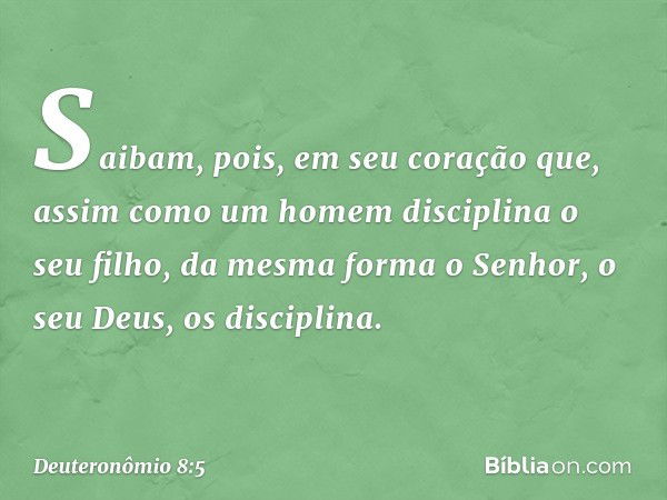 Saibam, pois, em seu coração que, assim como um homem disciplina o seu filho, da mesma forma o Senhor, o seu Deus, os disciplina. -- Deuteronômio 8:5