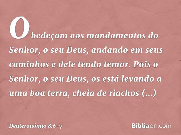 "Obedeçam aos mandamentos do Senhor, o seu Deus, andando em seus caminhos e dele tendo temor. Pois o Senhor, o seu Deus, os está levando a uma boa terra, cheia 