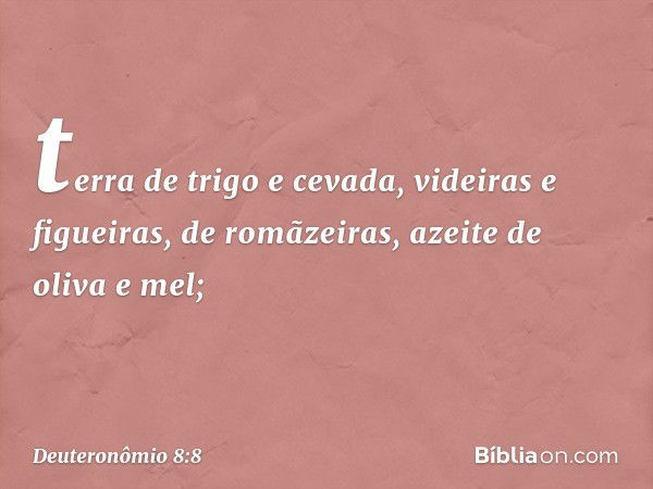 terra de trigo e cevada, videiras e figueiras, de romãzeiras, azeite de oliva e mel; -- Deuteronômio 8:8