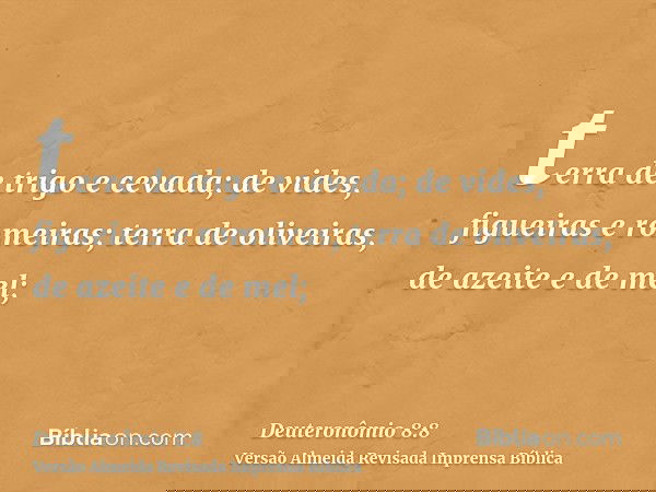 terra de trigo e cevada; de vides, figueiras e romeiras; terra de oliveiras, de azeite e de mel;