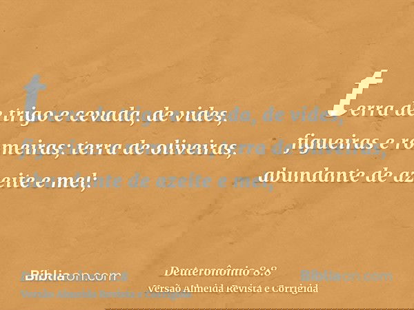 terra de trigo e cevada, de vides, figueiras e romeiras; terra de oliveiras, abundante de azeite e mel;