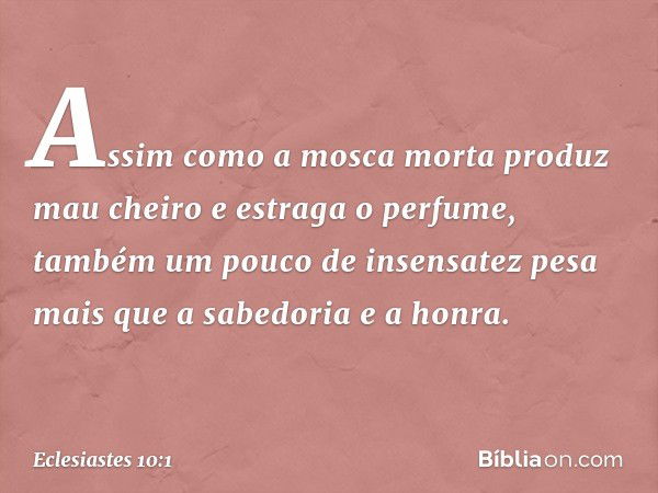 Assim como a mosca morta
produz mau cheiro
e estraga o perfume,
também um pouco de insensatez
pesa mais que a sabedoria e a honra. -- Eclesiastes 10:1