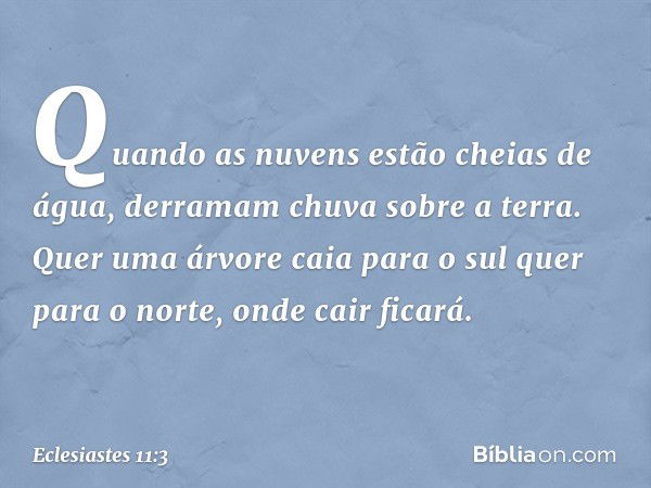 Quando as nuvens estão cheias de água,
derramam chuva sobre a terra.
Quer uma árvore caia para o sul
quer para o norte,
onde cair ficará. -- Eclesiastes 11:3