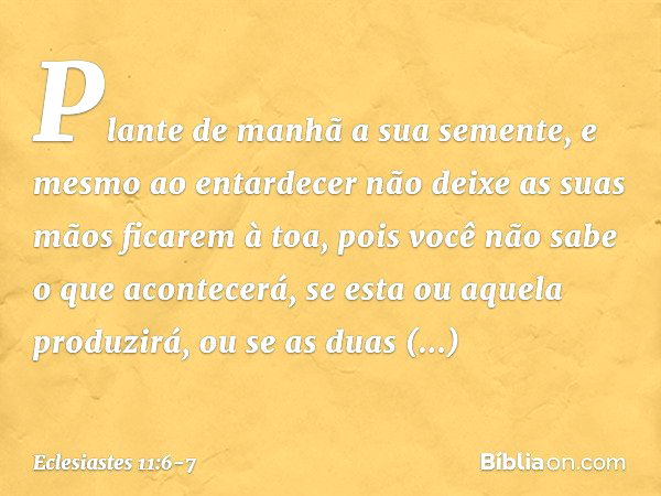 Plante de manhã a sua semente,
e mesmo ao entardecer
não deixe as suas mãos ficarem à toa,
pois você não sabe o que acontecerá,
se esta ou aquela produzirá,
ou 