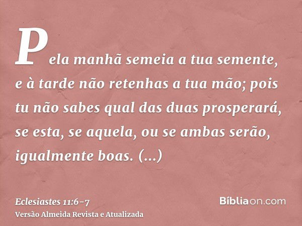 Pela manhã semeia a tua semente, e à tarde não retenhas a tua mão; pois tu não sabes qual das duas prosperará, se esta, se aquela, ou se ambas serão, igualmente