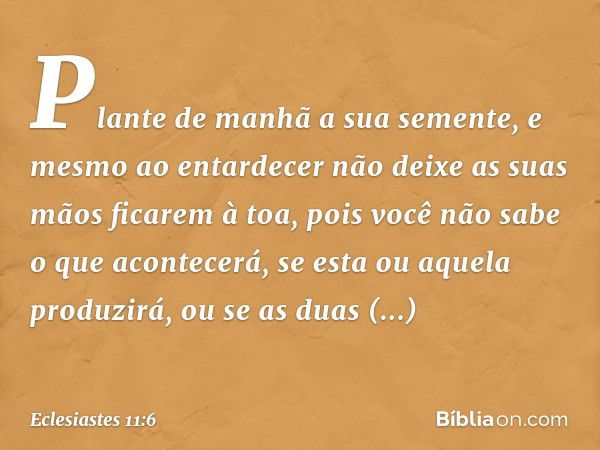 Plante de manhã a sua semente,
e mesmo ao entardecer
não deixe as suas mãos ficarem à toa,
pois você não sabe o que acontecerá,
se esta ou aquela produzirá,
ou 