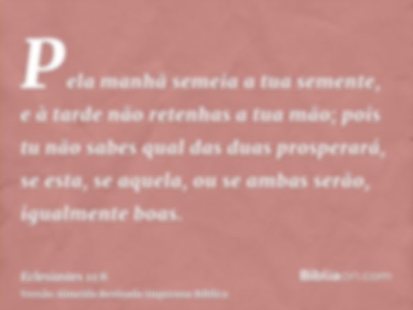 Pela manhã semeia a tua semente, e à tarde não retenhas a tua mão; pois tu não sabes qual das duas prosperará, se esta, se aquela, ou se ambas serão, igualmente