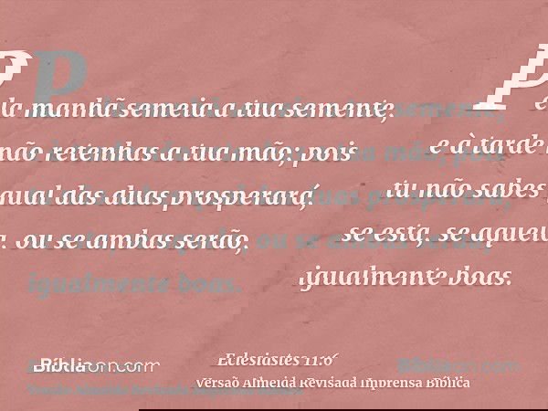 Pela manhã semeia a tua semente, e à tarde não retenhas a tua mão; pois tu não sabes qual das duas prosperará, se esta, se aquela, ou se ambas serão, igualmente