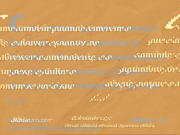 como também quando temerem o que é alto, e houver espantos no caminho; e florescer a amendoeira, e o gafanhoto for um peso, e falhar o desejo; porque o homem se