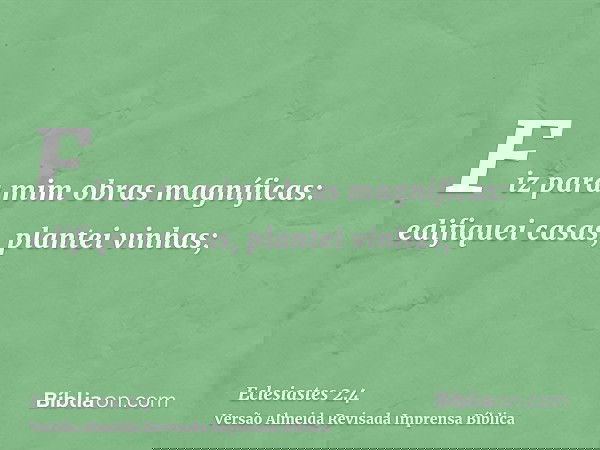 Fiz para mim obras magníficas: edifiquei casas, plantei vinhas;