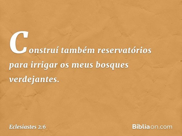 Construí também reservatórios para irrigar os meus bosques verdejantes. -- Eclesiastes 2:6