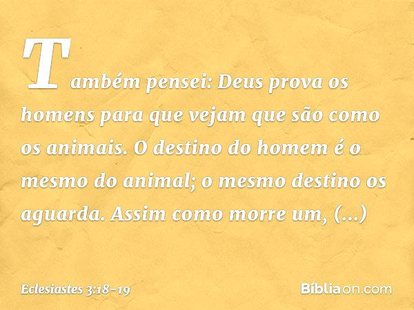 Também pensei: Deus prova os homens para que vejam que são como os animais. O destino do homem é o mesmo do animal; o mesmo destino os aguarda. Assim como morre