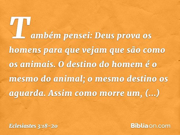 Também pensei: Deus prova os homens para que vejam que são como os animais. O destino do homem é o mesmo do animal; o mesmo destino os aguarda. Assim como morre