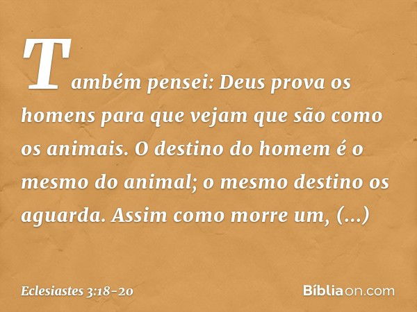 Também pensei: Deus prova os homens para que vejam que são como os animais. O destino do homem é o mesmo do animal; o mesmo destino os aguarda. Assim como morre