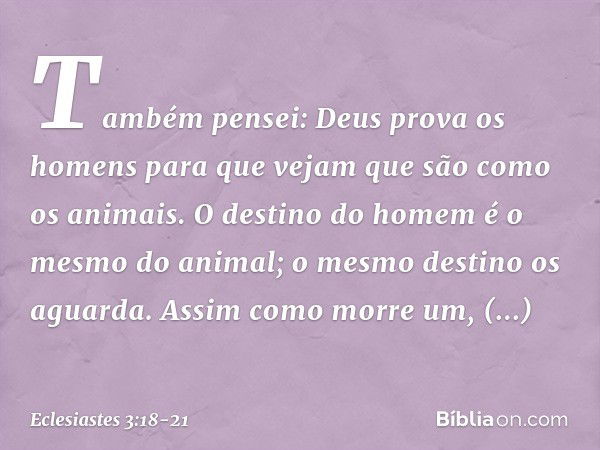 Também pensei: Deus prova os homens para que vejam que são como os animais. O destino do homem é o mesmo do animal; o mesmo destino os aguarda. Assim como morre